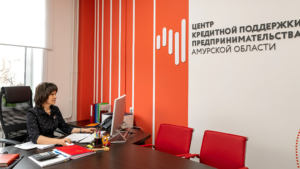 Количество социальных предпринимателей растет в Амурской области - gtrkamur.ru