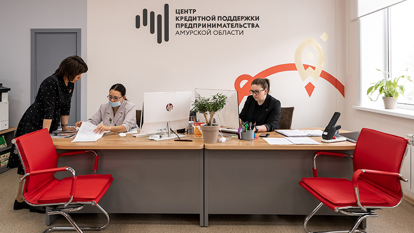 Льготные 270 миллионов: бизнес в регионе растёт благодаря господдержке - gtrkamur.ru