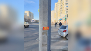 Очередную партию рекламных листовок обнаружили на улицах Благовещенска - gtrkamur.ru