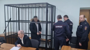 В Благовещенске подозреваемый в убийстве жены и 10-месячного сына заключен под стражу - gtrkamur.ru