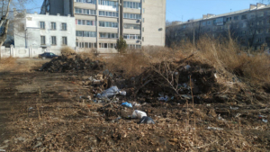 500 тонн отходов собрали со свалок благовещенские городские службы - gtrkamur.ru