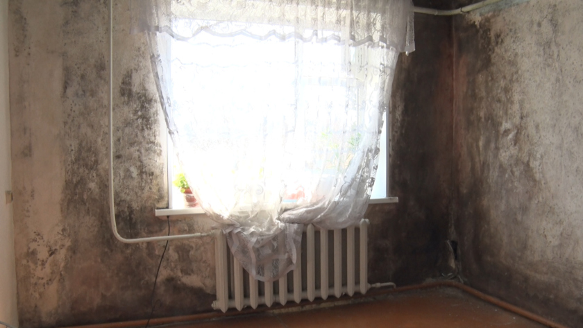 В черной-черной комнате: дом пенсионеров из Марково покрылся плесенью после паводка - gtrkamur.ru