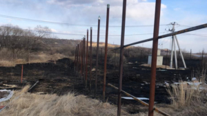 Более 80 гектаров выгорело в Благовещенском округе по вине двоих местных жителей - gtrkamur.ru