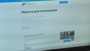 Амурчан призывают голосовать за территории для благоустройства - gtrkamur.ru