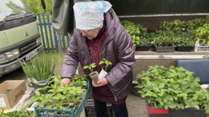 Казачья сельскохозяйственная ярмарка состоялась в селе Грибское - gtrkamur.ru