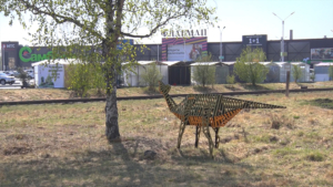 В Благовещенске поселился новый динозавр - gtrkamur.ru