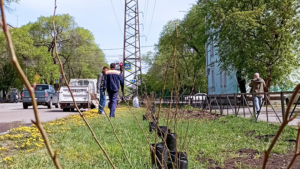 Благовещенцы совместно с энергетиками облагородили место под линиями электропередачи - gtrkamur.ru