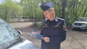Более полумиллиона рублей задолжал амурчанин за нарушение ПДД - gtrkamur.ru