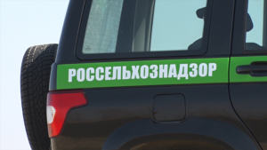 Амурчане могут потерять земельные участки из-за мусора - gtrkamur.ru
