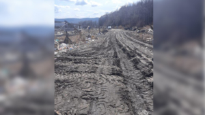 В Тынде защитили от огня лесной массив возле свалки - gtrkamur.ru