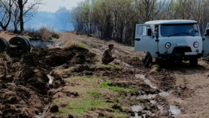 Тракторист устроил пожар в Архаринском округе - gtrkamur.ru