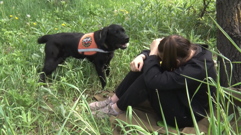 Амурские спасатели готовят четвероногих подопечных к аттестации - gtrkamur.ru