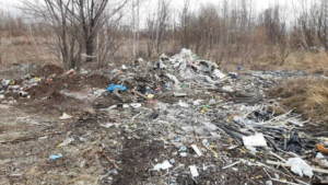 Превышение марганца в почве выявили на месте нелегальной свалки в Приамурье - gtrkamur.ru