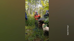 «Толя жив»: как 12-летнего амурчанина искали в глухой тайге - gtrkamur.ru