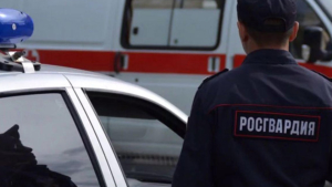 К ответственности привлекут жителя Свободного, напавшего на сотрудницу Росгвардии - gtrkamur.ru