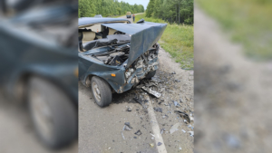 В Приамурье трехлетний ребенок выжил в ДТП с двумя погибшими - gtrkamur.ru