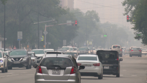 Накрывший Приамурье дым от пожаров не представляет опасности - gtrkamur.ru