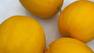 Дыни и огурцы без документов пыталась провезти в Благовещенск иностранка - gtrkamur.ru