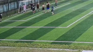 В полиции рассказали подробности происшествия на благовещенском стадионе - gtrkamur.ru