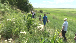 Туристические экскурсии возобновили в Муравьевском парке - gtrkamur.ru