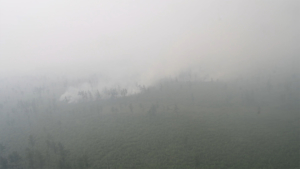 Почти 500 человек тушат пожары на севере Приамурья - gtrkamur.ru