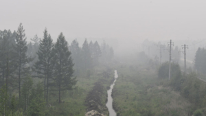 Дым от пожаров в соседних регионах окутал Амурскую область - gtrkamur.ru