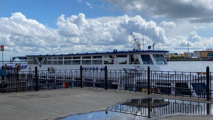 Новую программу прогулок по Амуру на теплоходах запустили в Благовещенске - gtrkamur.ru