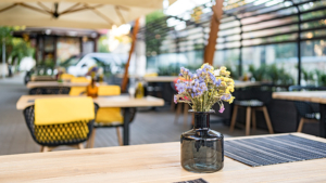 Место под солнцем: рестораны с летними верандами стали чаще открывать в России - gtrkamur.ru