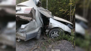 В Приамурье иномарка врезалась в столб — водитель погиб на месте - gtrkamur.ru