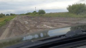 Жители Ивановского округа пожаловались на транспортную блокаду из-за карантина по АЧС - gtrkamur.ru