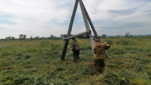 Полторы сотни гнездовых деревьев и опор защитят от пожаров в Приамурье - gtrkamur.ru