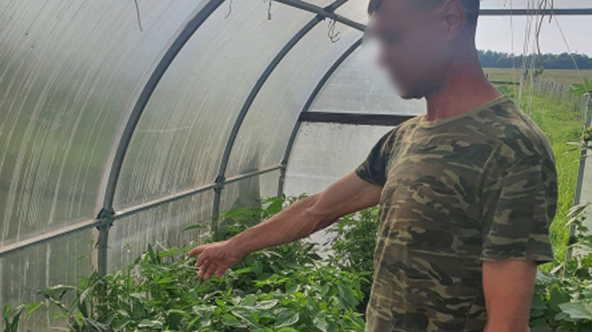 Хозяина наркотеплицы задержали в амурском селе - gtrkamur.ru