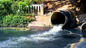 В реке Томь обнаружили кишечную палочку - gtrkamur.ru