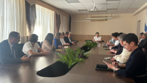 Амурские врачи обсудили вопросы оказания медпомощи с коллегами из Бурятии - gtrkamur.ru