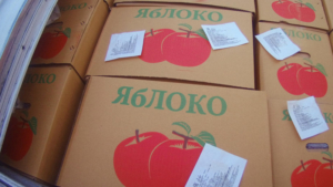 Поставки ягод и фруктов из Китая в Амурскую область с начала года достигли 30 тысяч тонн - gtrkamur.ru