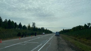 Пешеход погиб под колесами Камаза на трассе «Амур» - gtrkamur.ru
