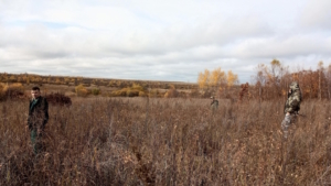 В Завитинском лесничестве инвентаризируют лесные культуры - gtrkamur.ru