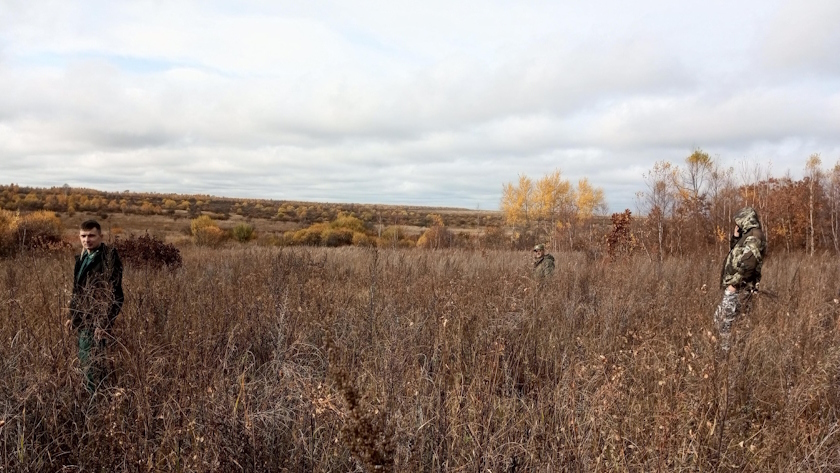 В Завитинском лесничестве инвентаризируют лесные культуры - gtrkamur.ru