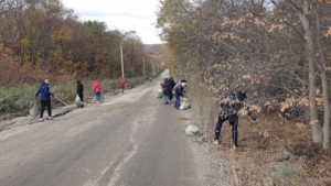 На 10 километре Новотроицкого шоссе прошел субботник - gtrkamur.ru