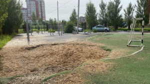 Ответственного за ремонт футбольной площадки после коммунальной аварии ищут в Благовещенске - gtrkamur.ru