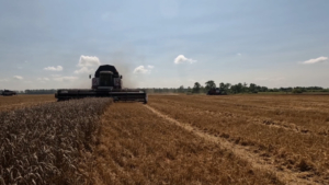 Экспортные пошлины с привязкой к курсу рубля ввели в России - gtrkamur.ru