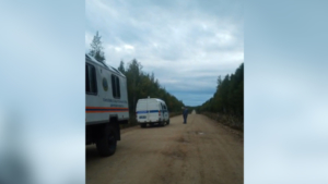В Зейском округе ищут пропавшего в лесу мужчину - gtrkamur.ru