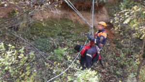 Поиск людей в лесистой местности отработали спасатели в Благовещенске - gtrkamur.ru
