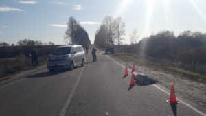 Пешеход погиб под колесами легковушки в Серышевском округе - gtrkamur.ru