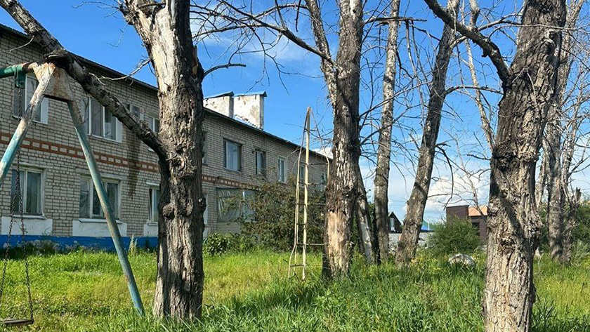 Почти 200 сухих деревьев спилят в селах Благовещенского округа - gtrkamur.ru