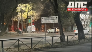 Благовещенец переходил на «красный» и попал под колеса внедорожника - gtrkamur.ru