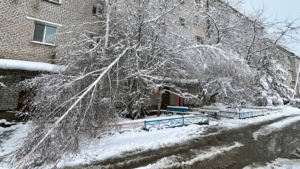 Первый снег лишил магдагачинцев тепла, воды и света  - gtrkamur.ru