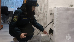 Амурчанам напоминают правила безопасного использования печей и обогревателей в холодное время года - gtrkamur.ru