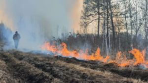 Пожары в Архаринском округе тушат более 50 человек - gtrkamur.ru