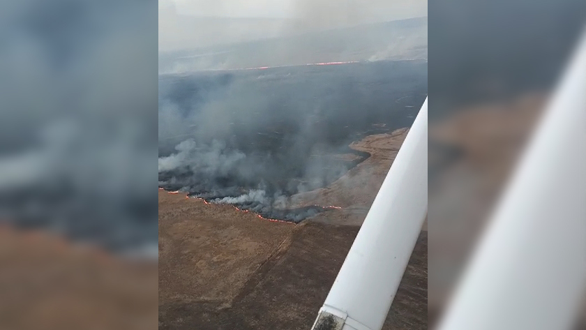 Два природных пожара зафиксировали в Приамурье - gtrkamur.ru